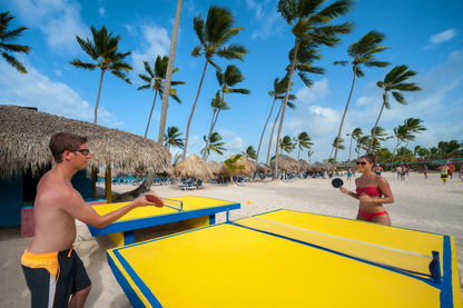 Punta Cana Princess All Inclusive / 3 días y 2 noches / 2 adultos